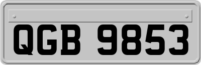 QGB9853