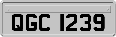QGC1239
