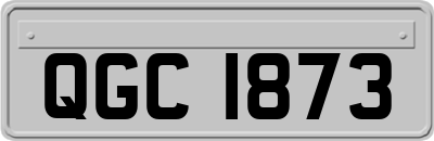 QGC1873
