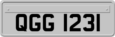 QGG1231