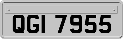 QGI7955