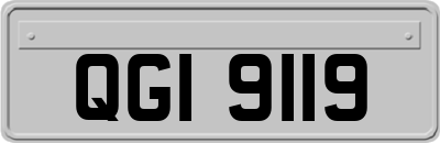 QGI9119