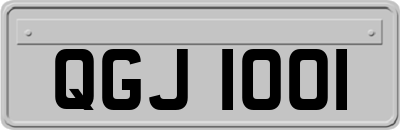 QGJ1001