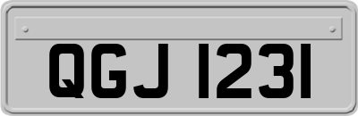 QGJ1231