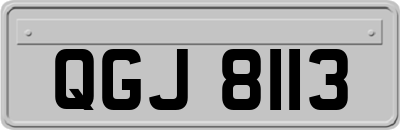 QGJ8113