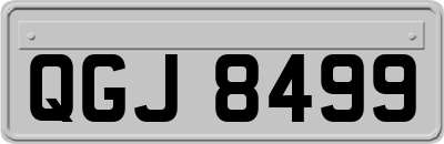 QGJ8499