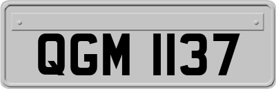 QGM1137