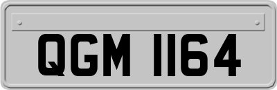 QGM1164