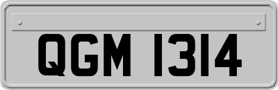 QGM1314