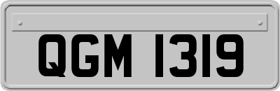 QGM1319