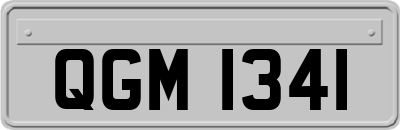 QGM1341