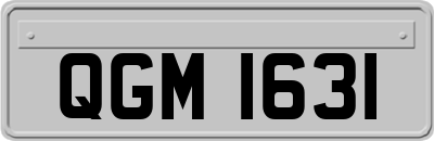 QGM1631