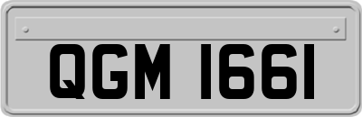 QGM1661