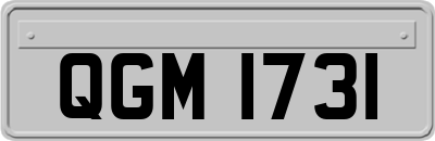 QGM1731