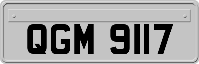 QGM9117