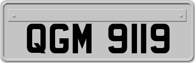 QGM9119