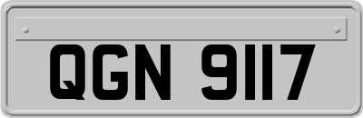 QGN9117
