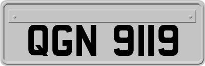 QGN9119