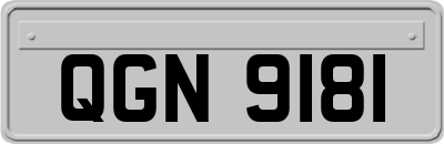QGN9181