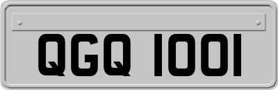 QGQ1001
