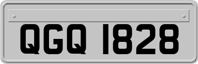 QGQ1828