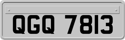 QGQ7813