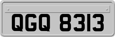 QGQ8313