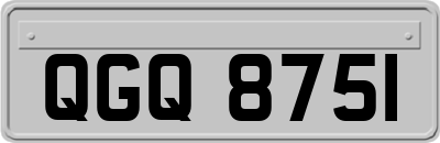QGQ8751