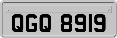 QGQ8919
