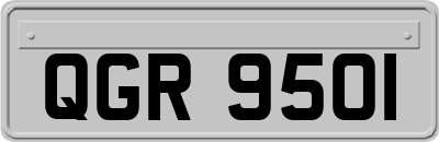 QGR9501
