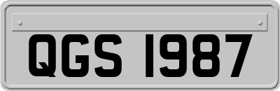 QGS1987