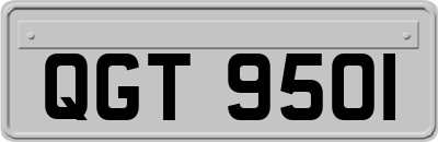 QGT9501