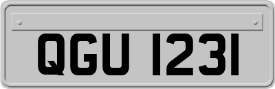 QGU1231
