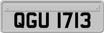 QGU1713