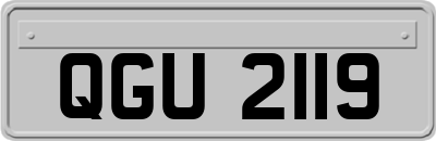 QGU2119
