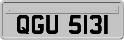 QGU5131