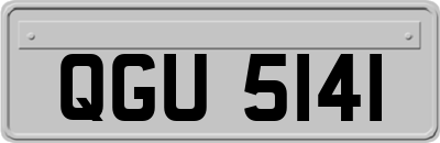 QGU5141