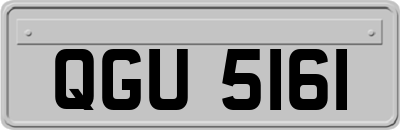 QGU5161