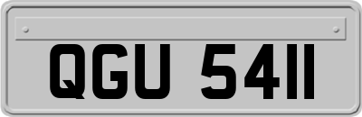 QGU5411