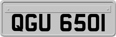 QGU6501
