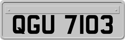 QGU7103