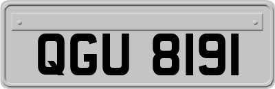 QGU8191