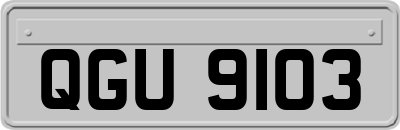QGU9103