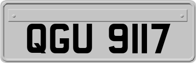 QGU9117