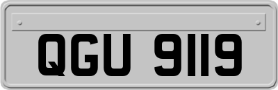 QGU9119