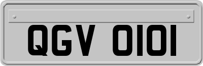 QGV0101