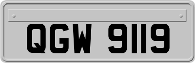 QGW9119