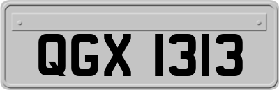QGX1313