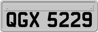 QGX5229