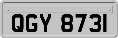 QGY8731